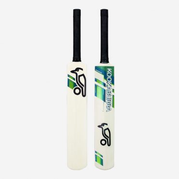 Mini Cricket Bat